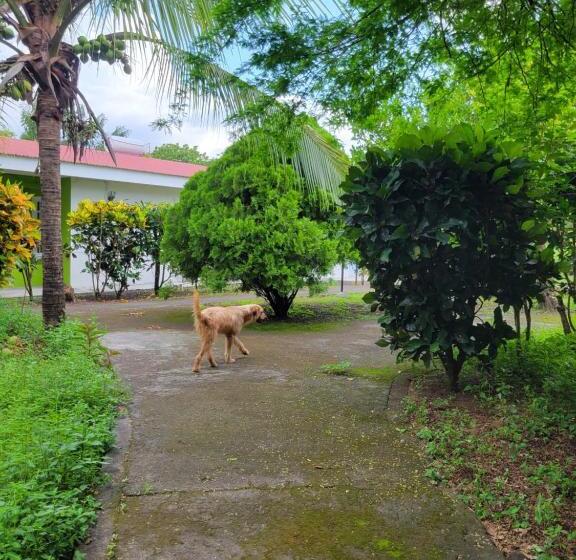 酒店 Museo El Ceibo