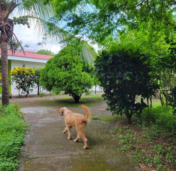 酒店 Museo El Ceibo