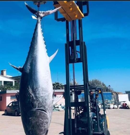 B&b Nuovo Capo Altano