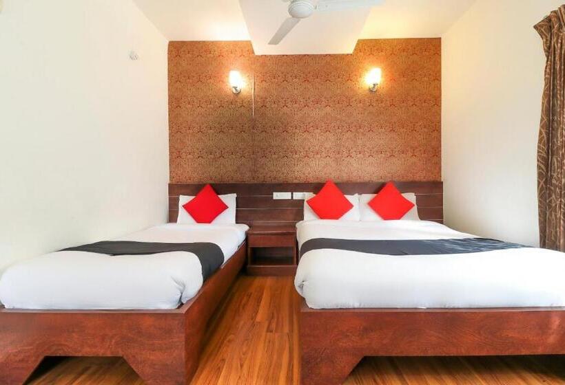 Oyo Hotel Status Executive Room S