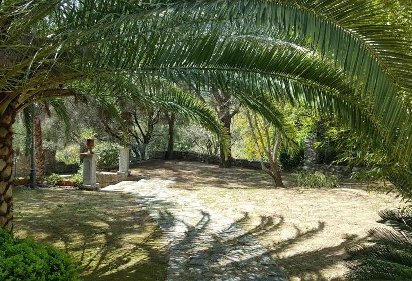 Пансион Costa Degli Aranci Rooms