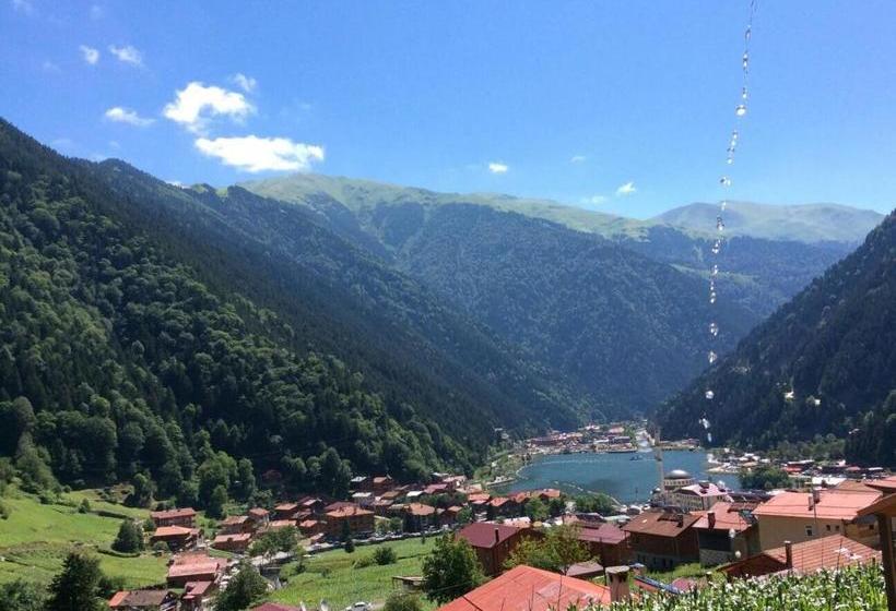 Hotelli Kuzey Palace