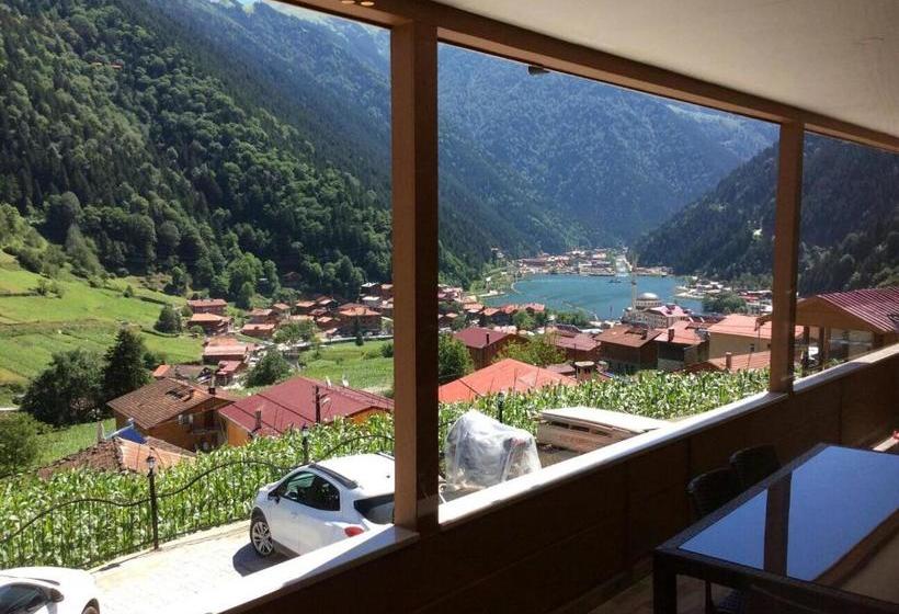 Hotelli Kuzey Palace