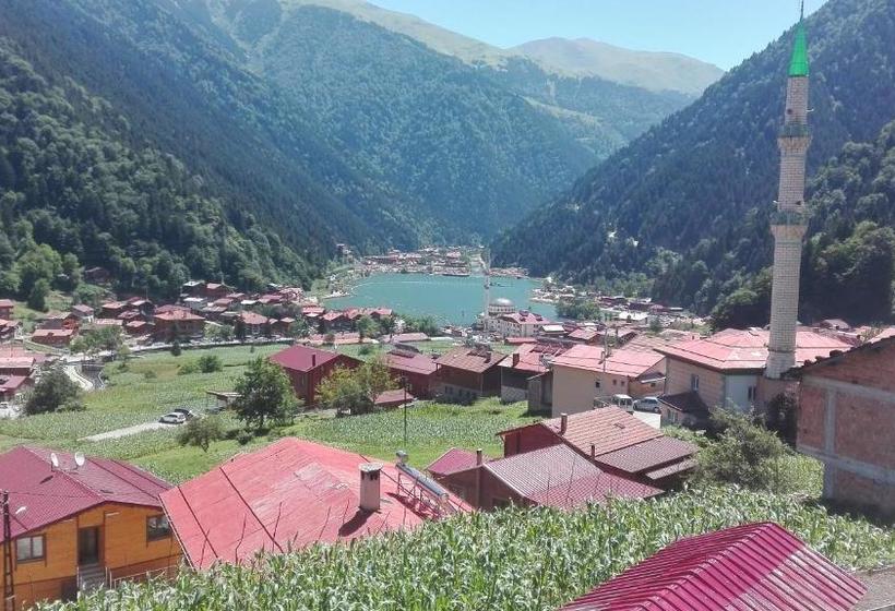 Hotelli Kuzey Palace