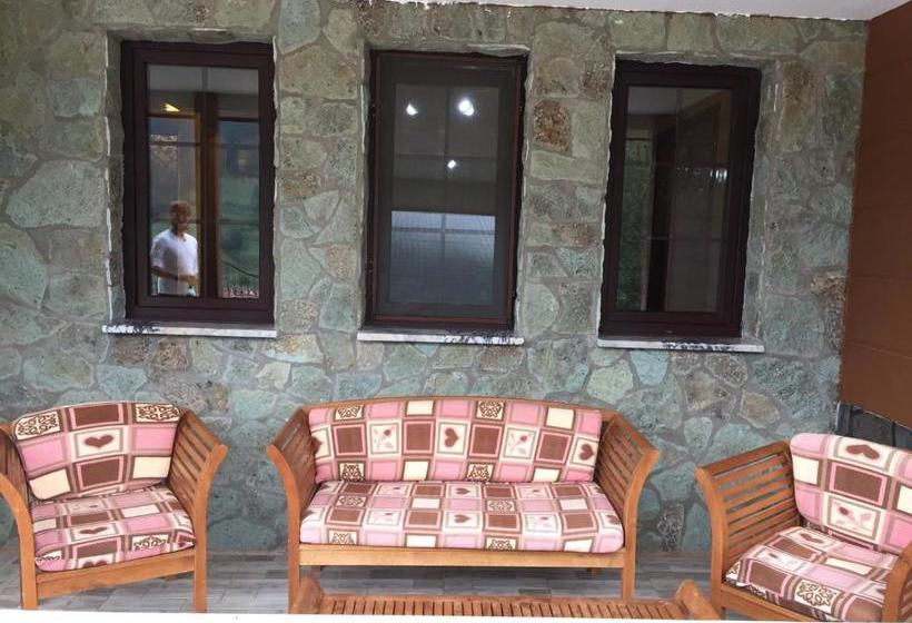 Hotelli Kuzey Palace