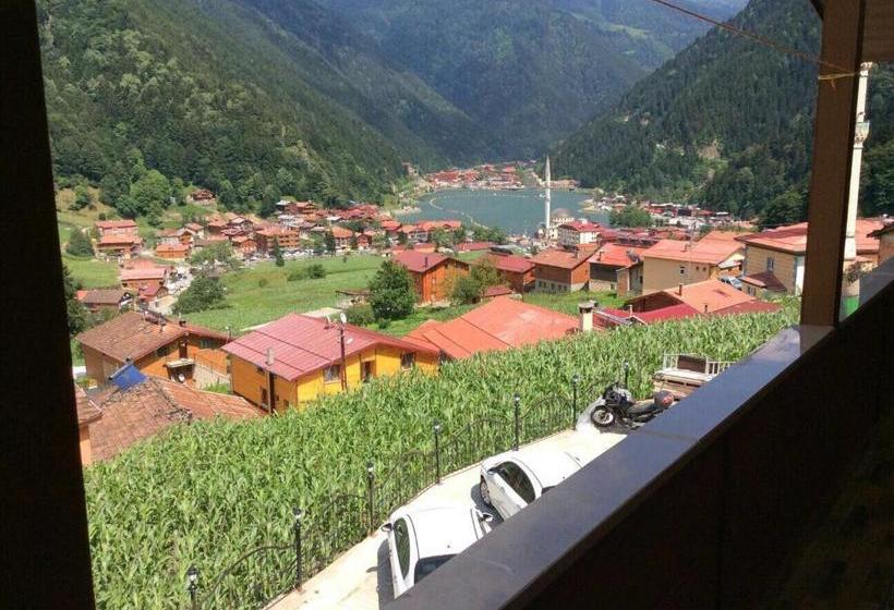 Hotelli Kuzey Palace