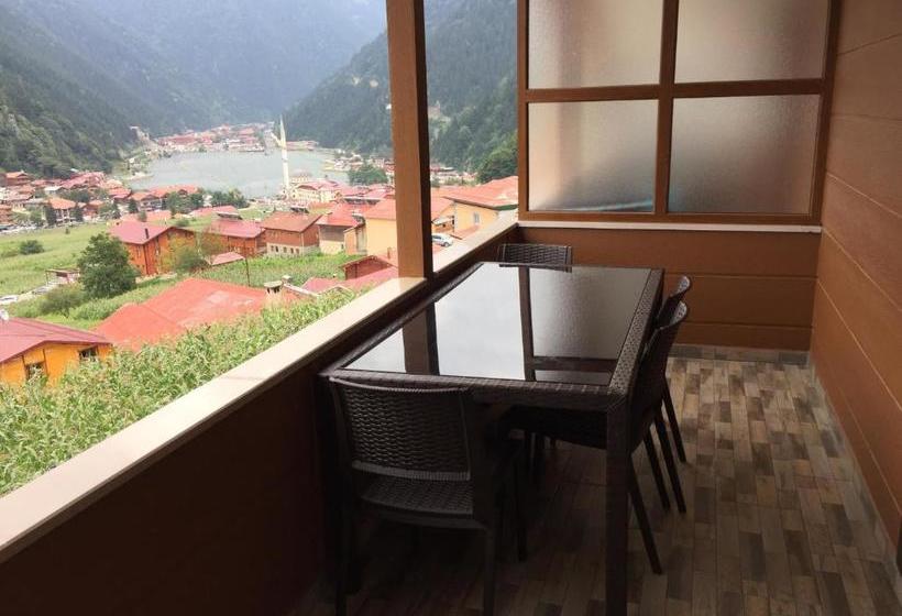 Hotelli Kuzey Palace