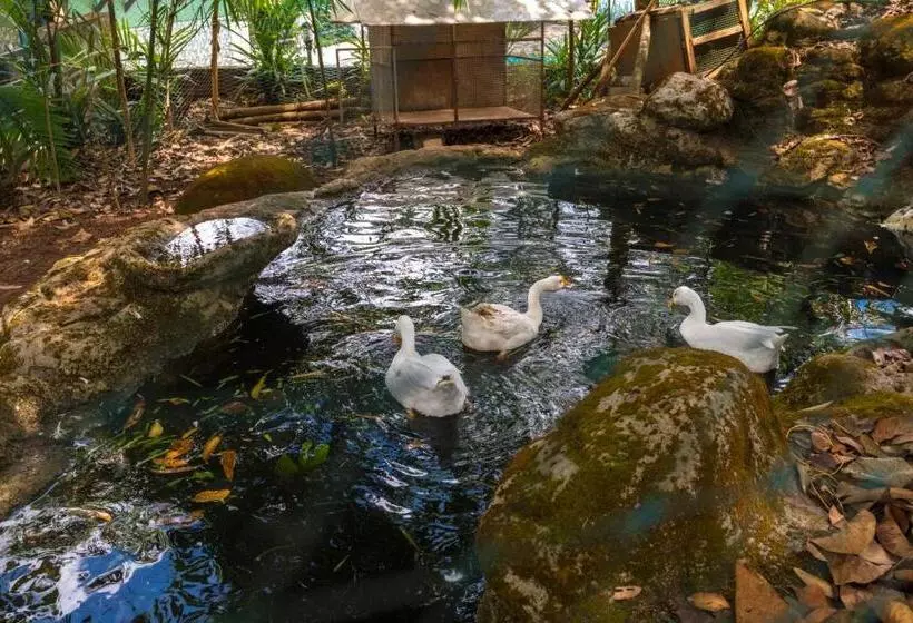 Letstay Adithya Nature Resort & Spa