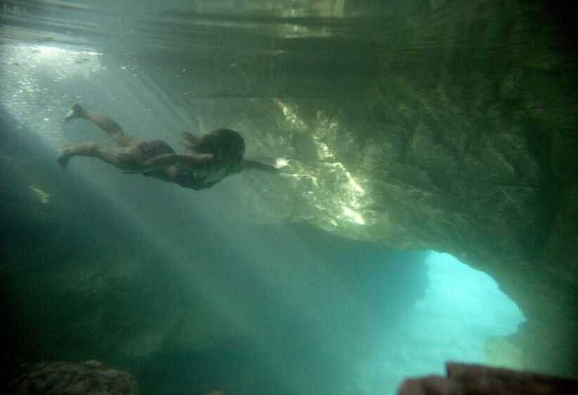 Motel Shenstone Motor Inn And Restaurant