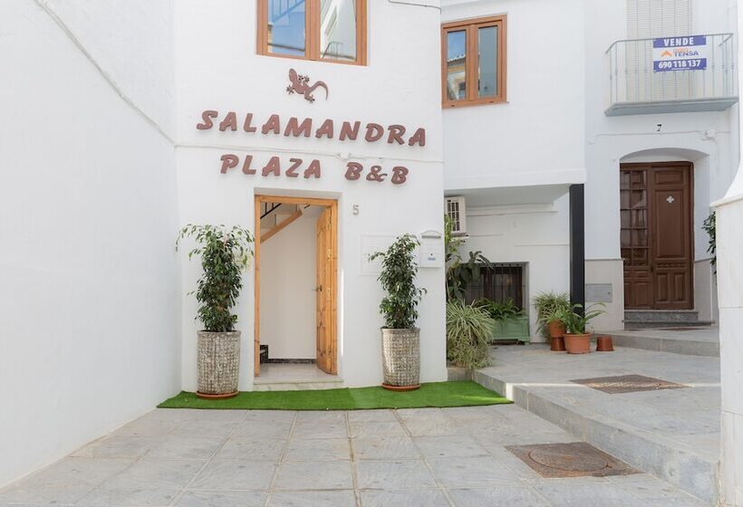 Bed and Breakfast Salamandra Plaza