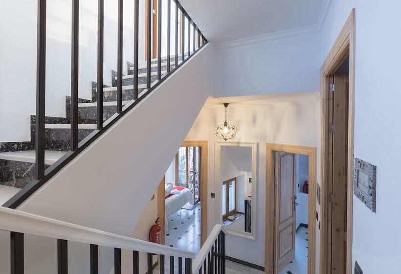 Bed and Breakfast Salamandra Plaza