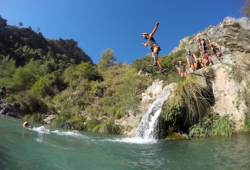 Bed and Breakfast Salamandra Plaza