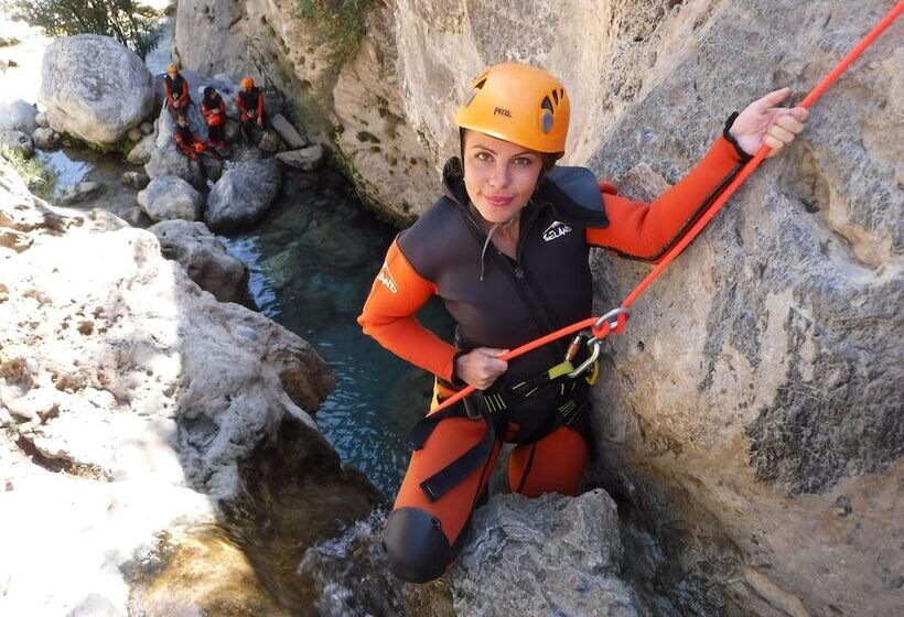 Bed and Breakfast Salamandra Plaza