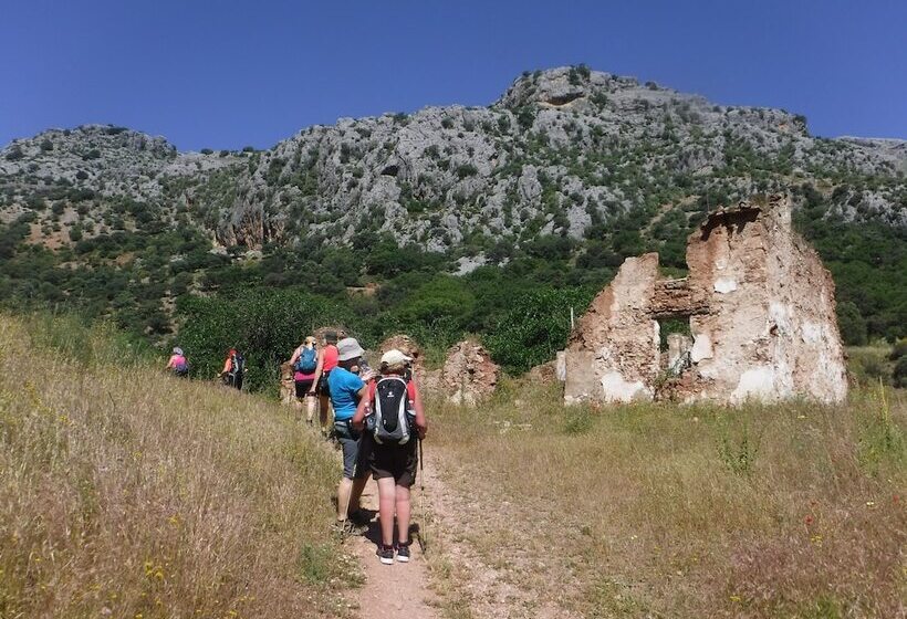 Bed and Breakfast Salamandra Plaza