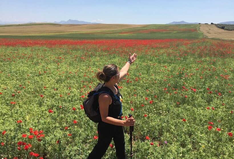 Bed and Breakfast Salamandra Plaza