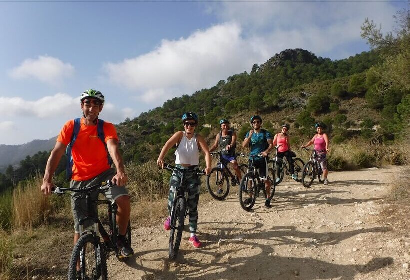 Bed and Breakfast Salamandra Plaza