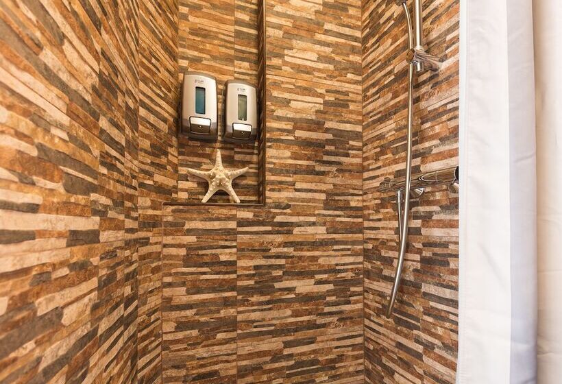 Bed and Breakfast Salamandra Plaza