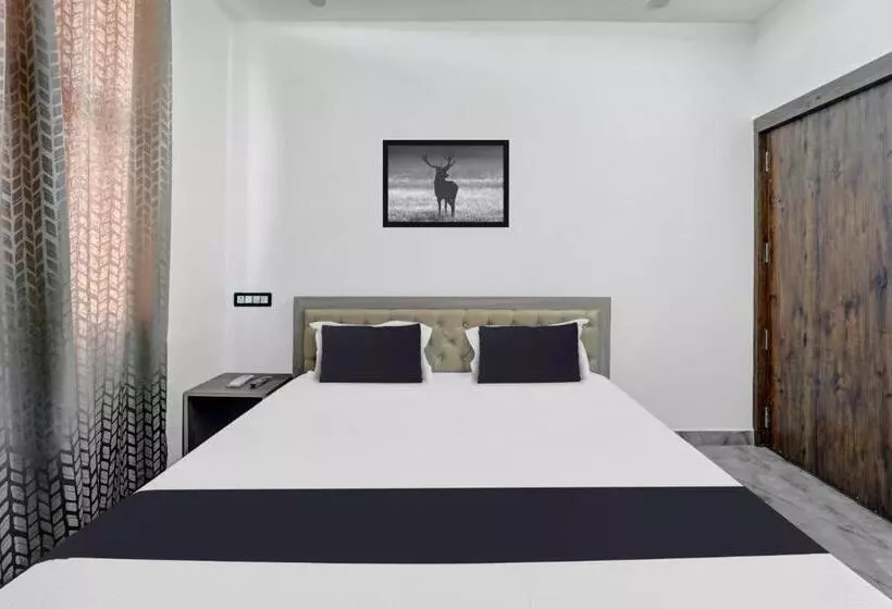 Super Oyo Flagship Hotel Singh Residency
