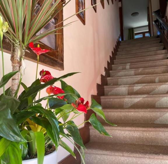 Bed And Breakfast Stella Alpina