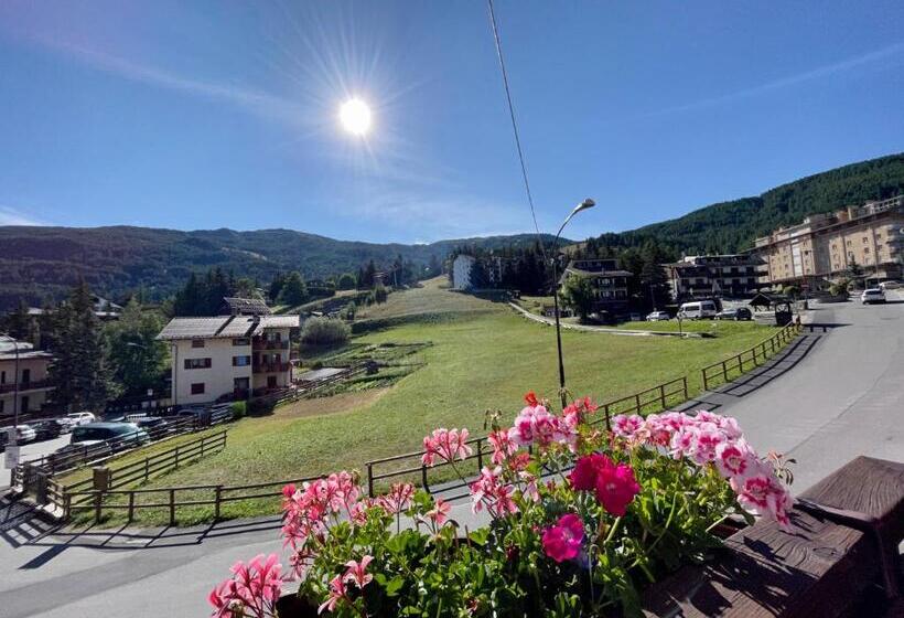 Bed And Breakfast Stella Alpina