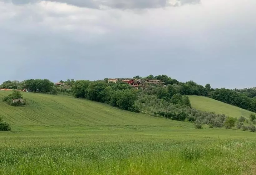 ホテル Azienda Agricola Bio Sanbonaventura