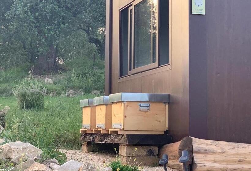 בית מלון כפרי Azienda Agricola Bio Sanbonaventura