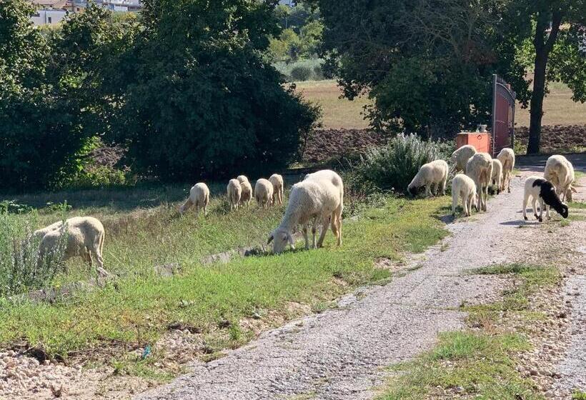 בית מלון כפרי Azienda Agricola Bio Sanbonaventura