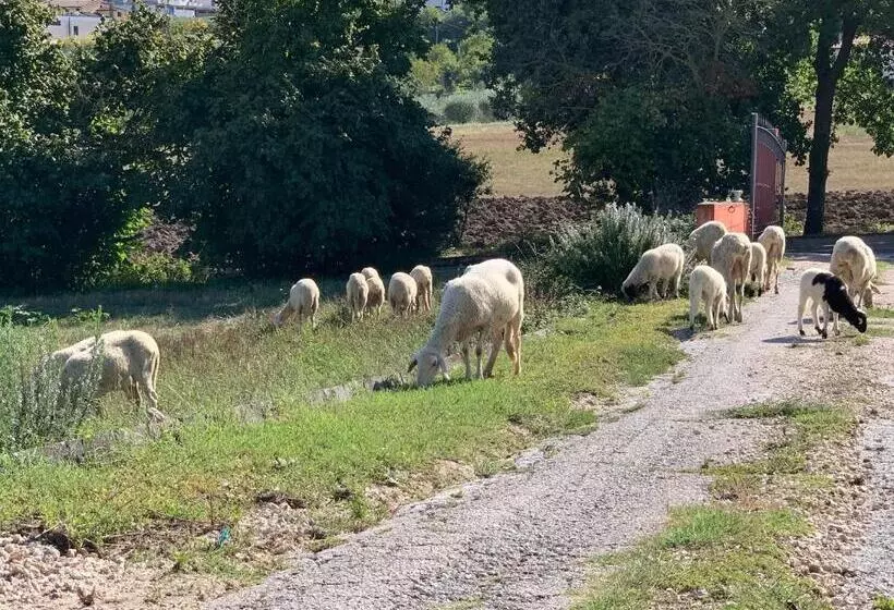 ホテル Azienda Agricola Bio Sanbonaventura