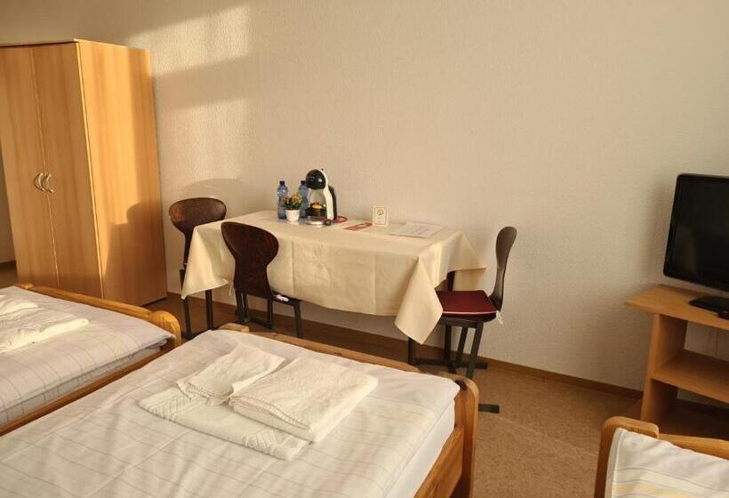 בית מלון כפרי Gästehaus Haßloch/pfalz