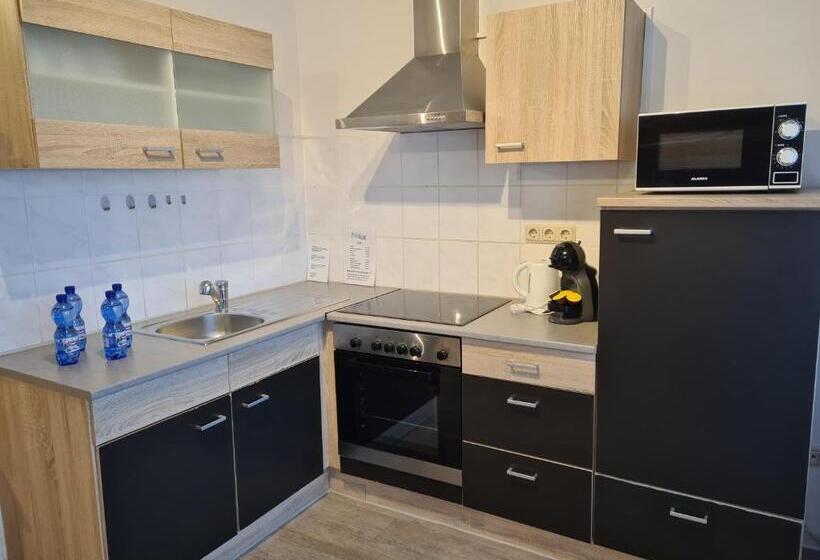 בית מלון כפרי Gästehaus Haßloch/pfalz