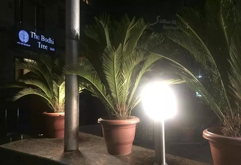 هتل The Bodhi Tree Bnb