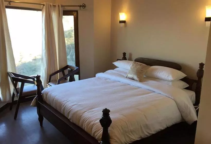 هتل The Bodhi Tree Bnb