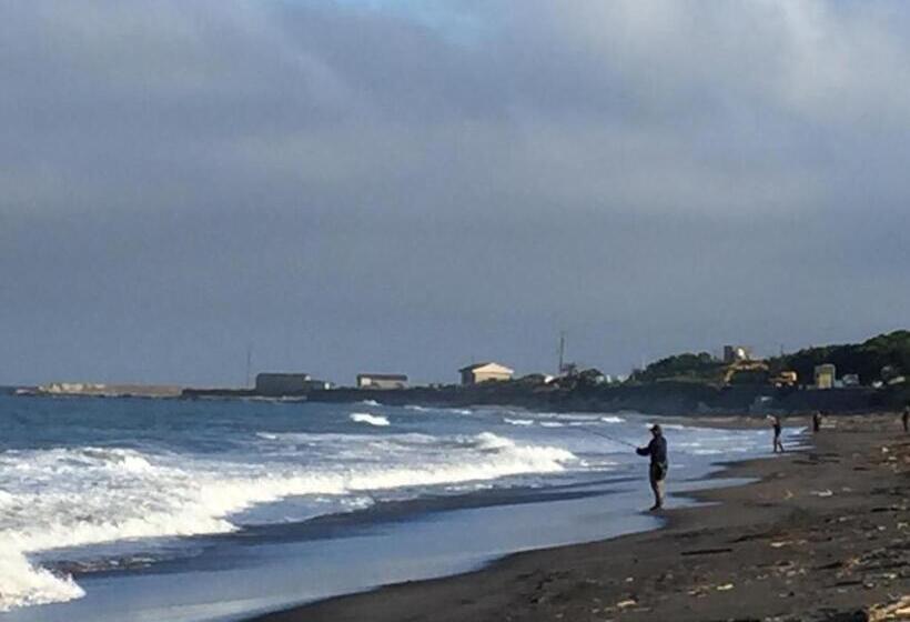 مبيت وإفطار South Bird Inn