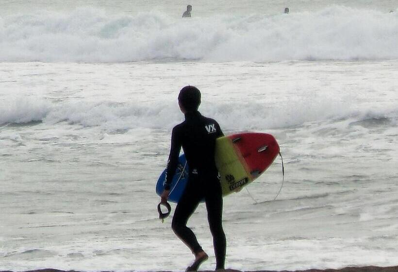 مبيت وإفطار South Bird Inn