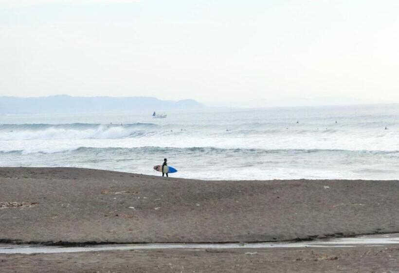 مبيت وإفطار South Bird Inn