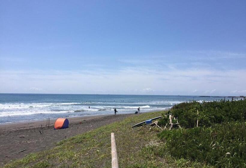 مبيت وإفطار South Bird Inn