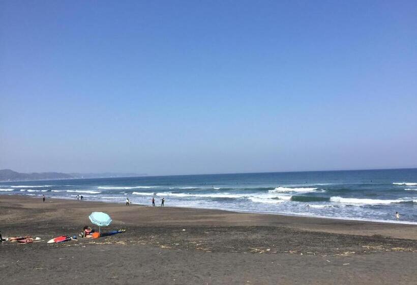 مبيت وإفطار South Bird Inn