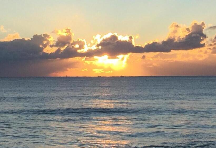 مبيت وإفطار South Bird Inn