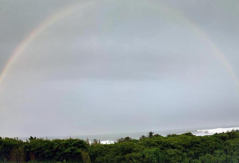 مبيت وإفطار South Bird Inn