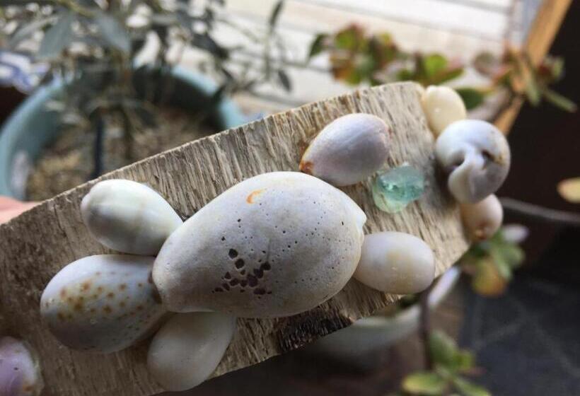 مبيت وإفطار South Bird Inn