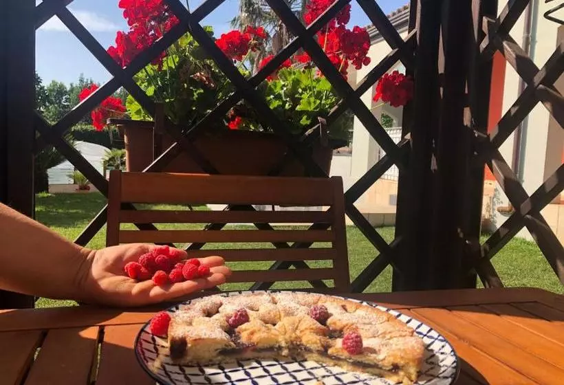 Aamiaismajoitus (B&B) Villa Soraya