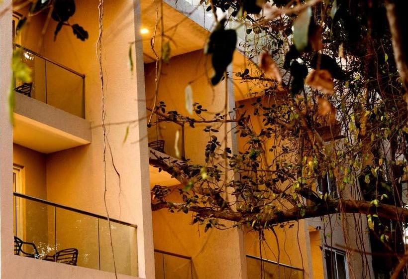 Hotelli Amani Vagator