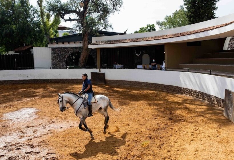 Hacienda El Salitre Hotel & Spa