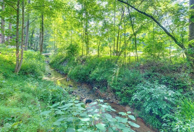 Blue Ridge Mtn Retreat: Porches & Creek Access