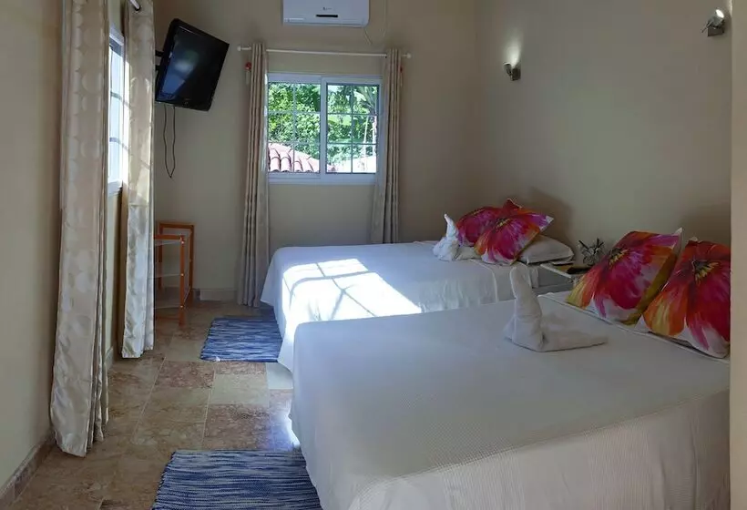 ペンション Hostal Sol