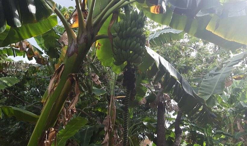 پانسیون Hostal Sol