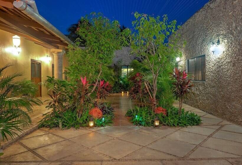 Bed & Breakfast Casa 411