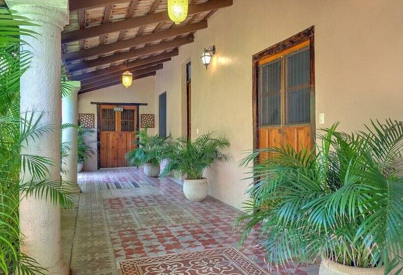 Bed & Breakfast Casa 411