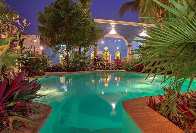 Bed & Breakfast Casa 411