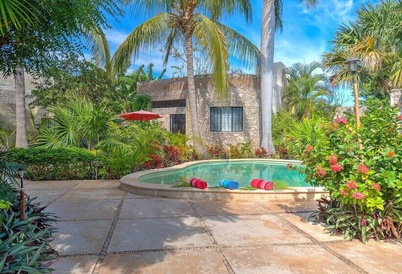 Bed & Breakfast Casa 411